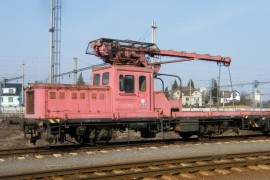 DGKu-5