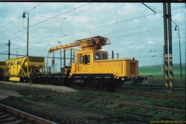 DGKu-5