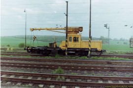 DGKu-5