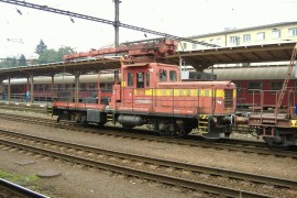 DGKu-5