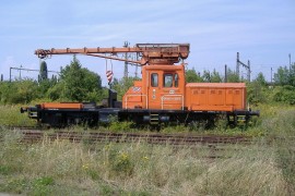 DGKu-5
