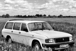 GAZ 31029 Volha