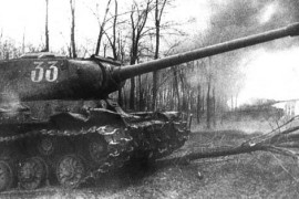 IS-2