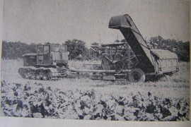 SK-2,6