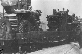 SK-3