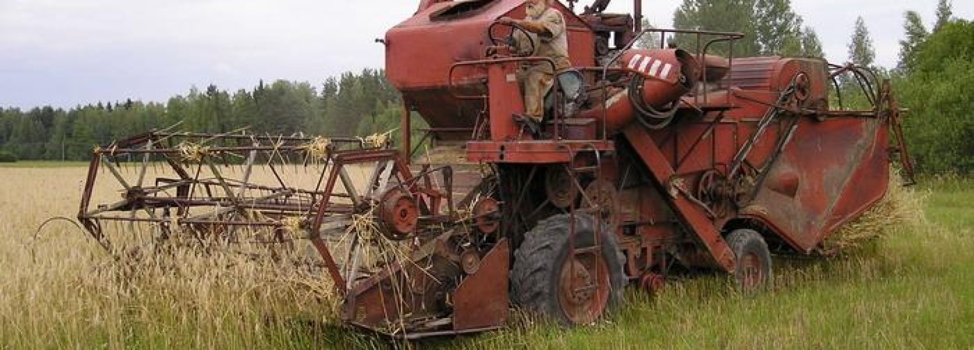 SK-3