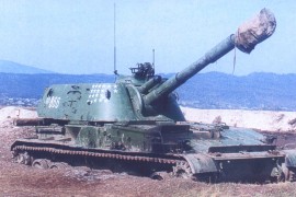 2S3 Akacija