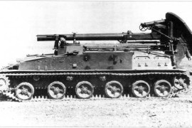 2S4 Tjulpan