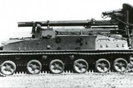 2S4 Tjulpan
