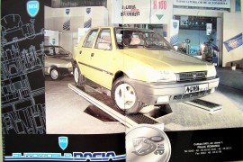 Dacia 1300, 1310, Pickup