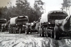 M-46