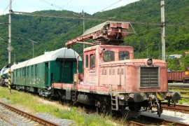DGKu-5