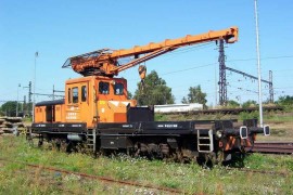 DGKu-5